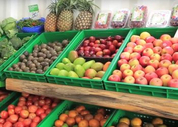 grocery store business in Kenya